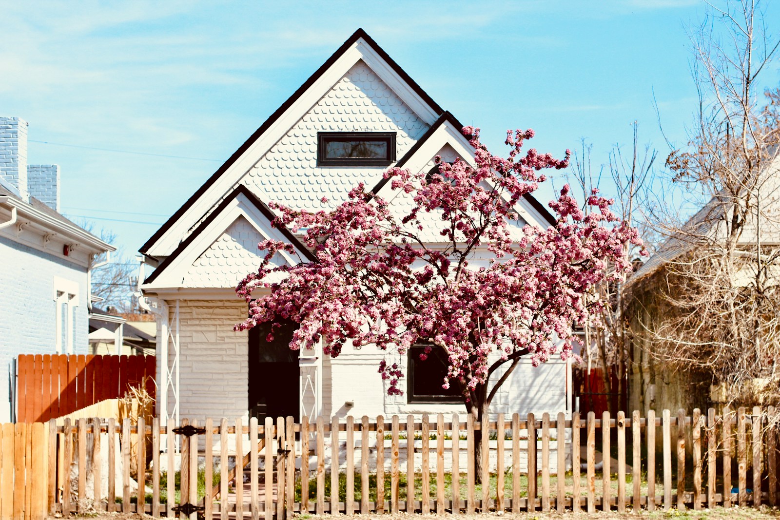Home Insurance vs. Home Warranty: Which One Should You Get and Why? 